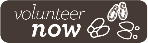 Volunteer now