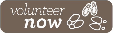 Volunteer now